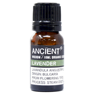 Organic Essential Oil | Lavender