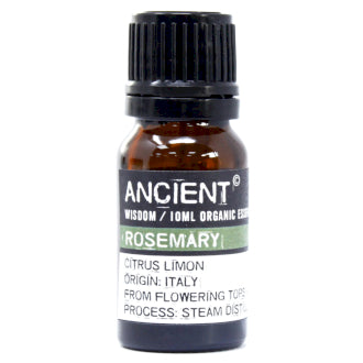 Organic Essential Oil | Rosemary