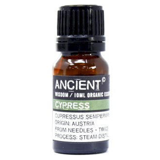 Organic Essential Oil | Cypress