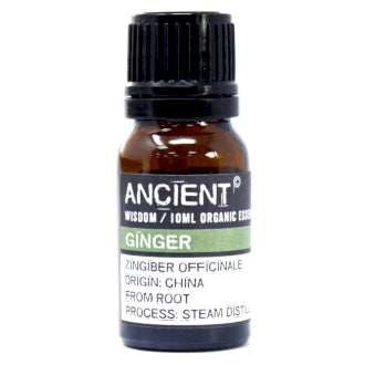 Organic Essential Oil | Ginger