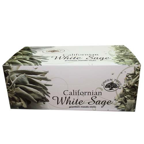 Arbre vert - Salvia blanche de Californie